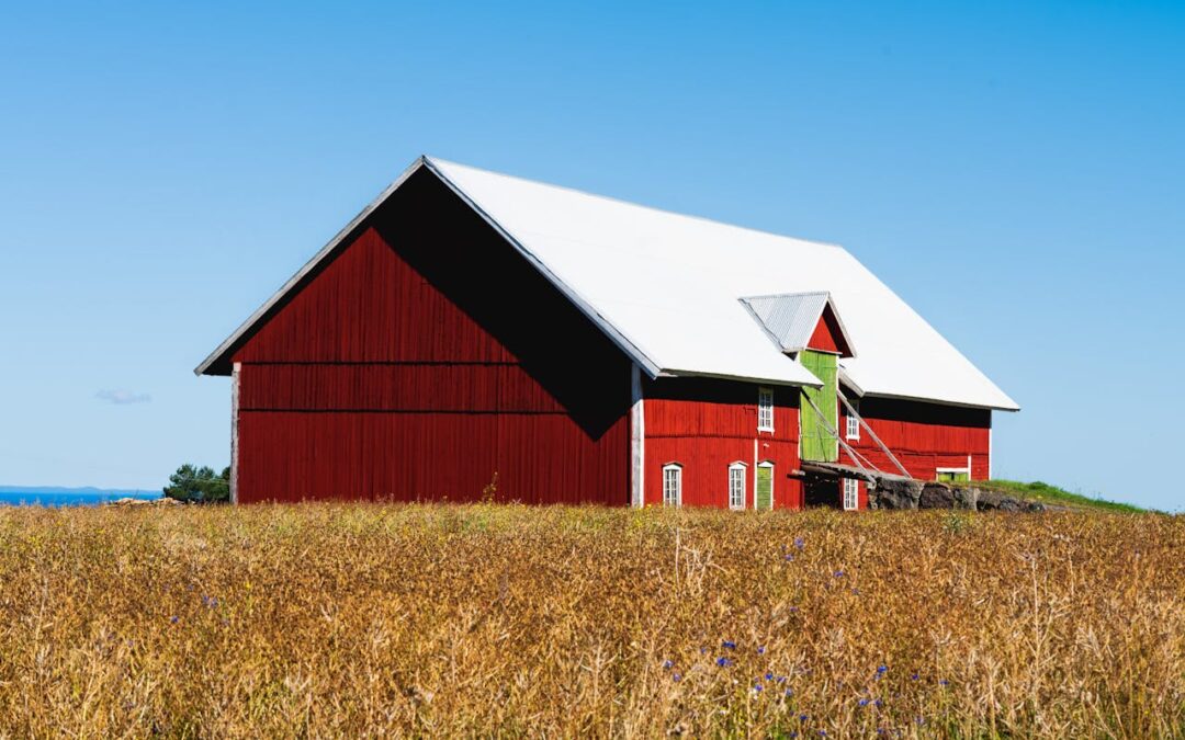 Vad ska man tänka på när man ska måla över falu rödfärg?