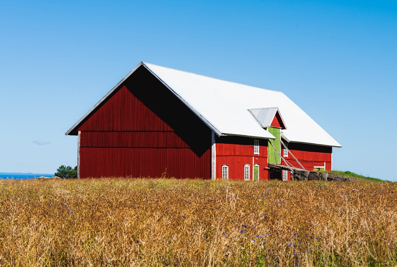 pexels-damir-27721726